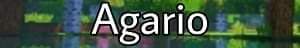 serwer minecraft agario