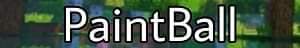 serwer minecraft paintball