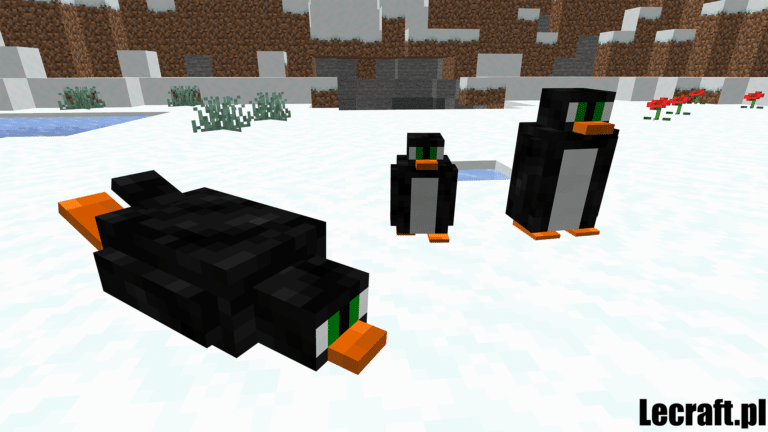 Pingwiny!